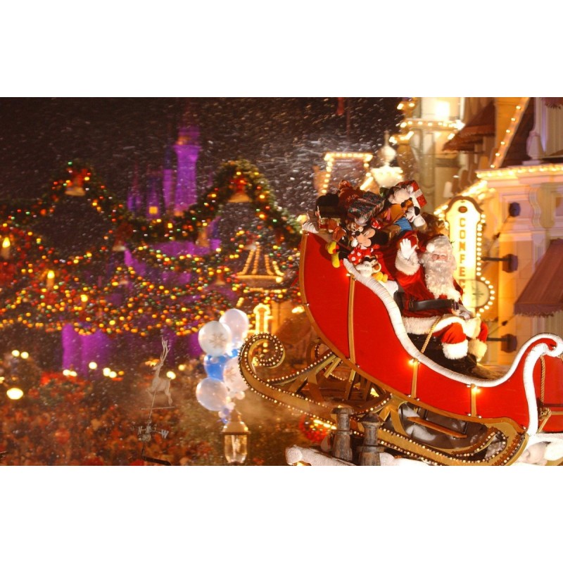 Christmas Diamond Pa...