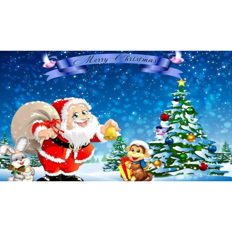 Christmas Diamond Pa...