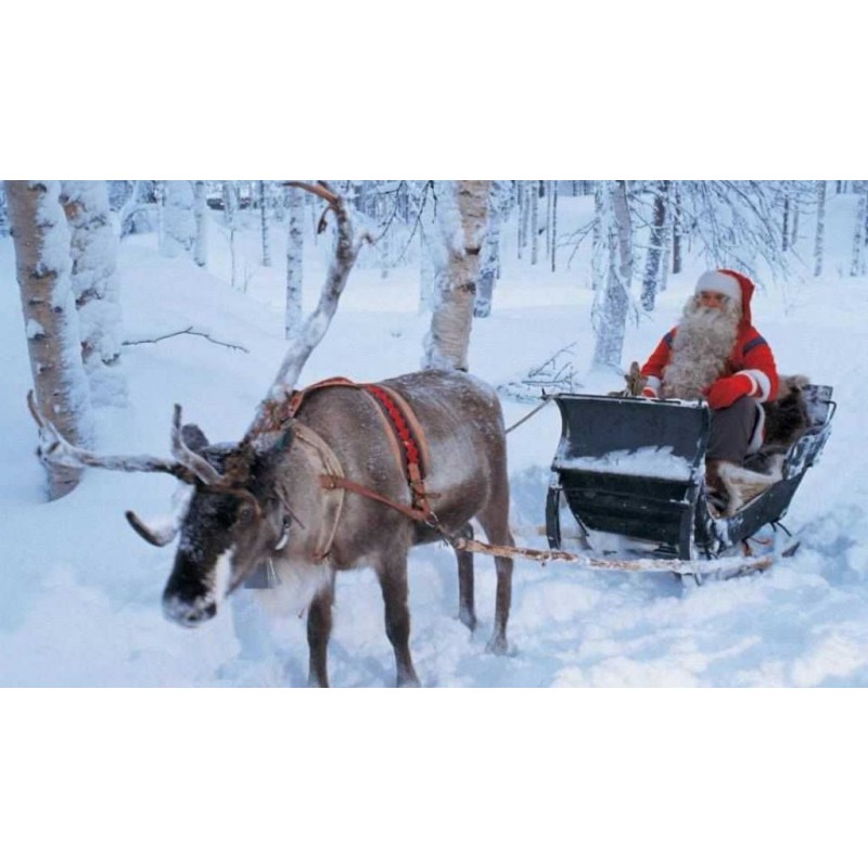 Christmas Diamond Pa...