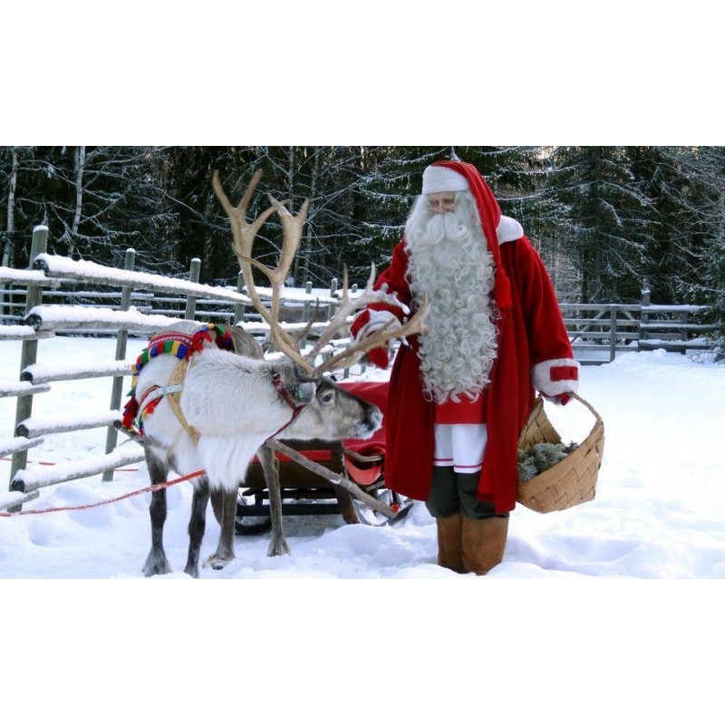 Christmas Diamond Pa...