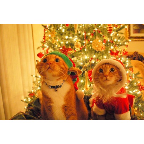 Christmas Diamond Painting Kit 5D Season 2-98