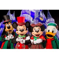 Christmas Mickey Minnie D...