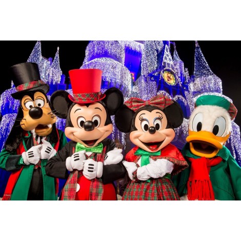 Christmas Mickey Minnie Donald Goofy Diamond Painting Kit