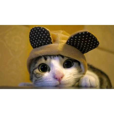 5d Cat Diamond Painting Kit Premium-78