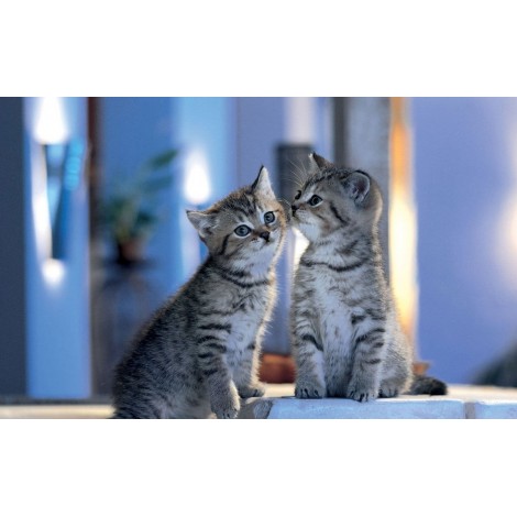 5d Cat Diamond Painting Kit Premium-87