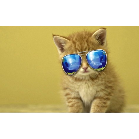 5d Cat Diamond Painting Kit Premium-48