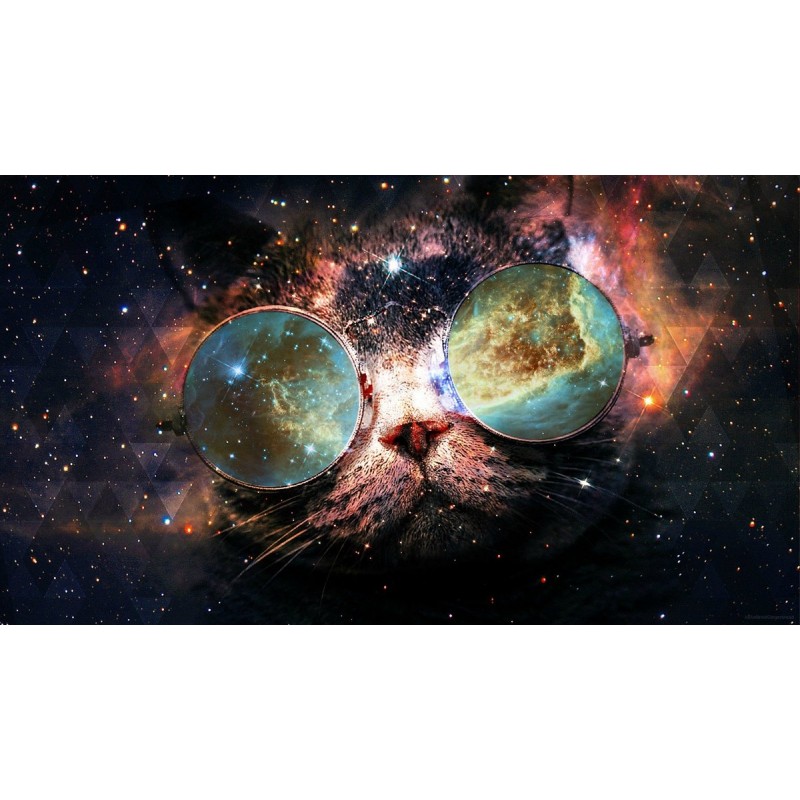 5d Cat Diamond Paint...