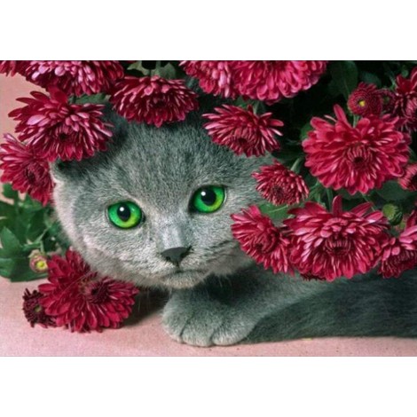 5d Cat Diamond Painting Kit Premium-17