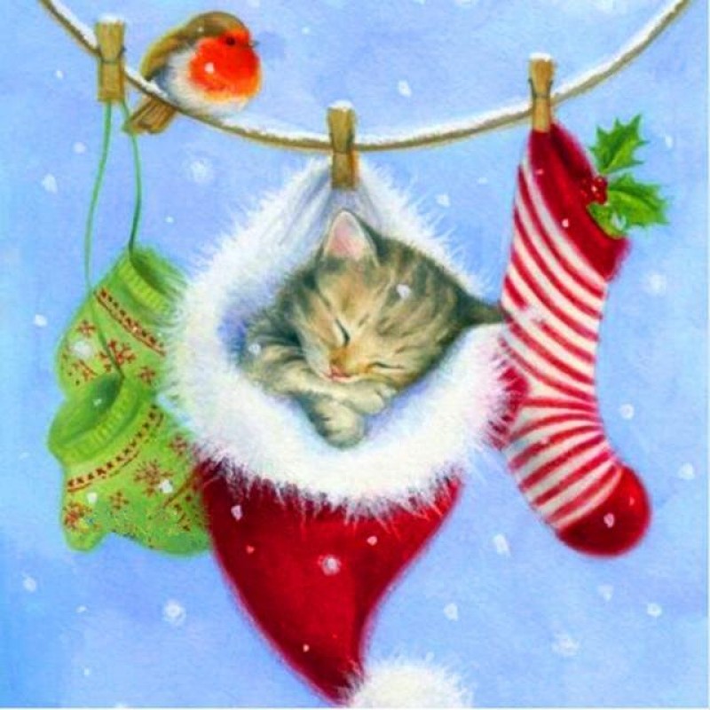 Christmas Cat In Soc...