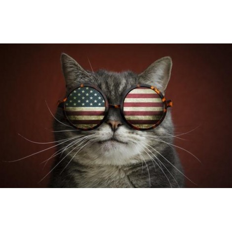 5d Cat Diamond Painting Kit Premium-46