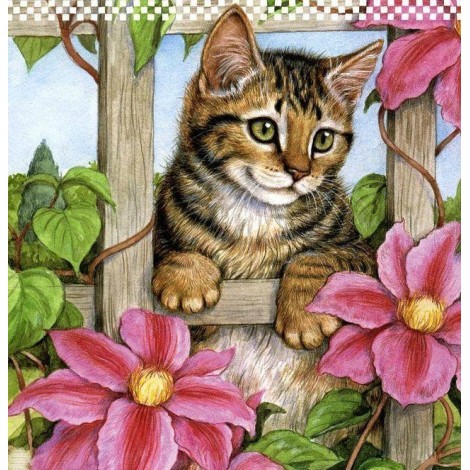 5d Cat Diamond Painting Kit Premium-65