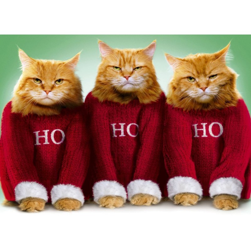 Ho Ho Ho Cat Christm...