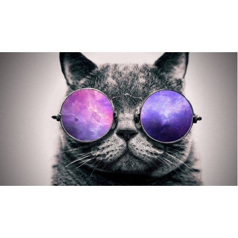 5d Cat Diamond Painting Kit Premium-25