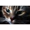 5d Cat Diamond Painting Kit Premium-30