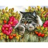 5d Cat Diamond Painting Kit Premium-13