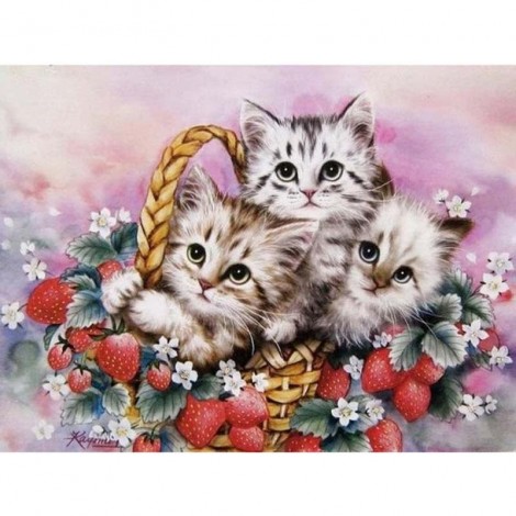 Cat In The Basket Diamond Painting Kit
