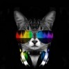 5d Cat Diamond Painting Kit Premium-89