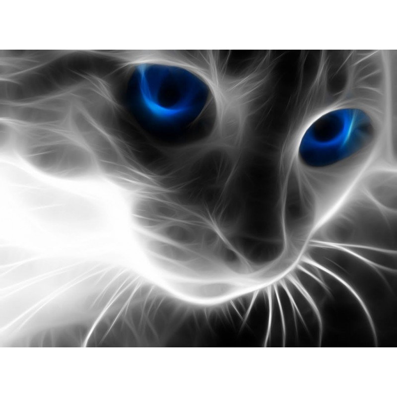 5d Cat Diamond Paint...