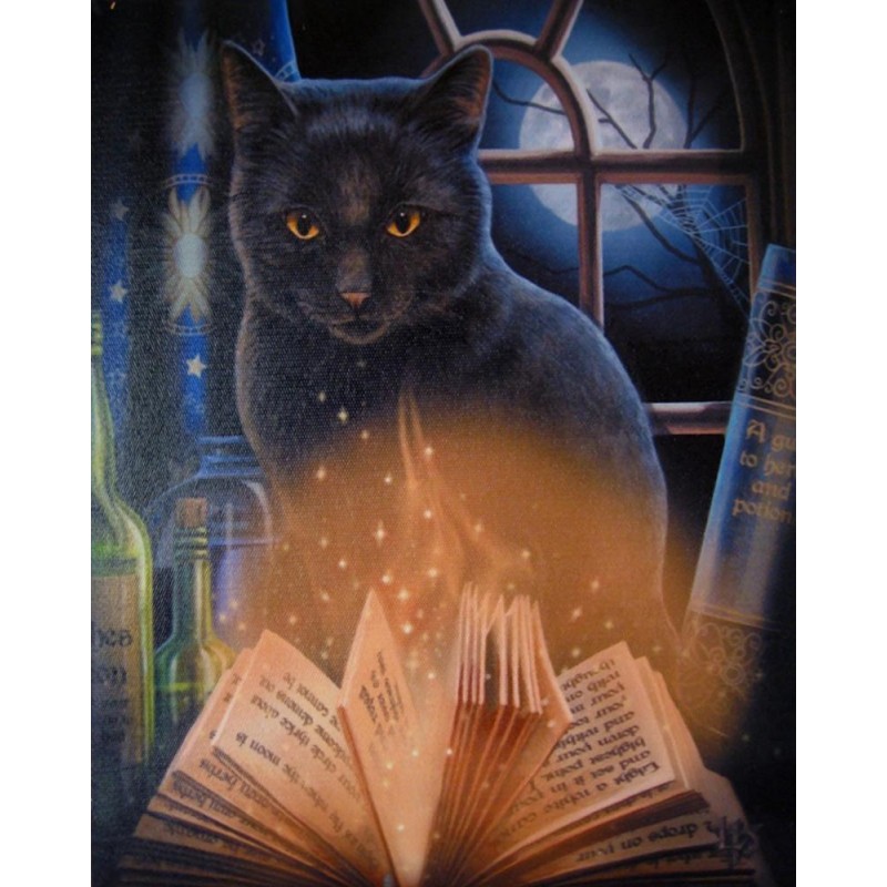 5d Cat Diamond Paint...