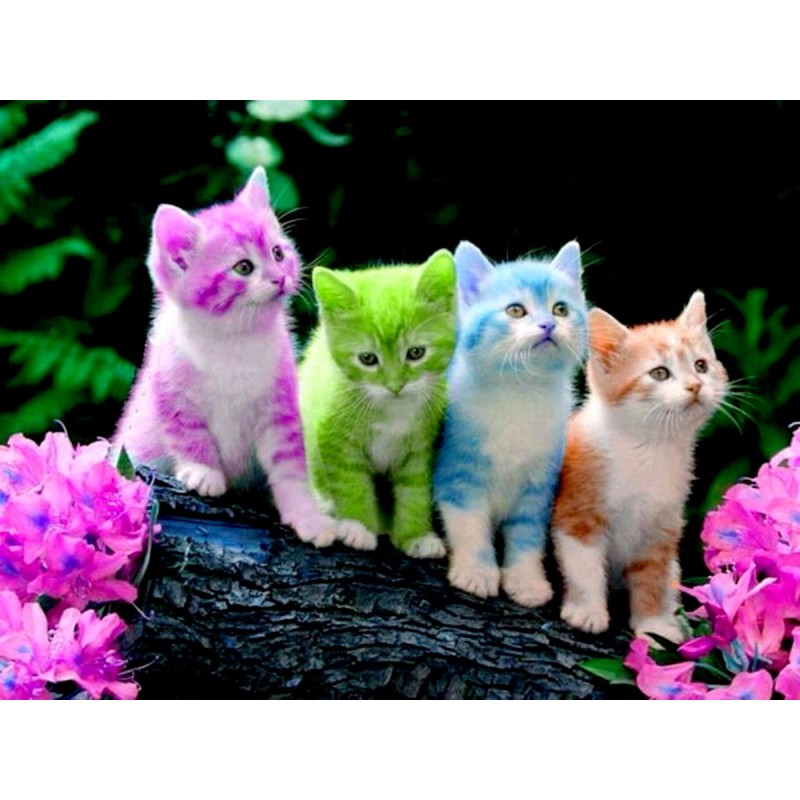 5d Cat Diamond Paint...