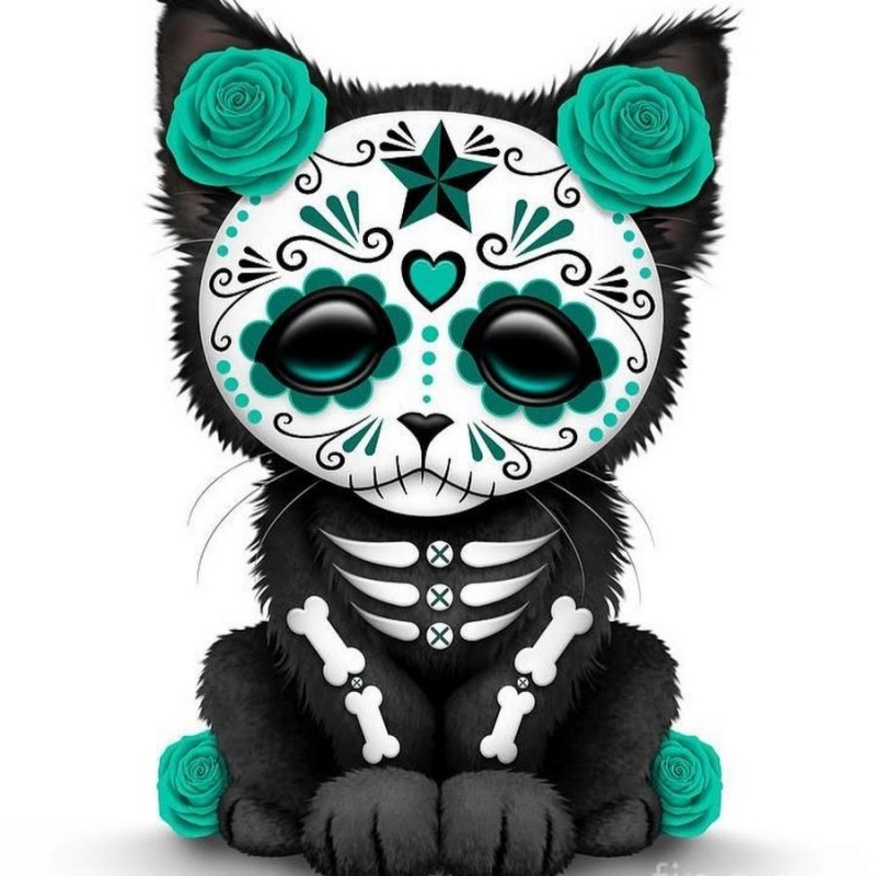 5d Cat Diamond Paint...