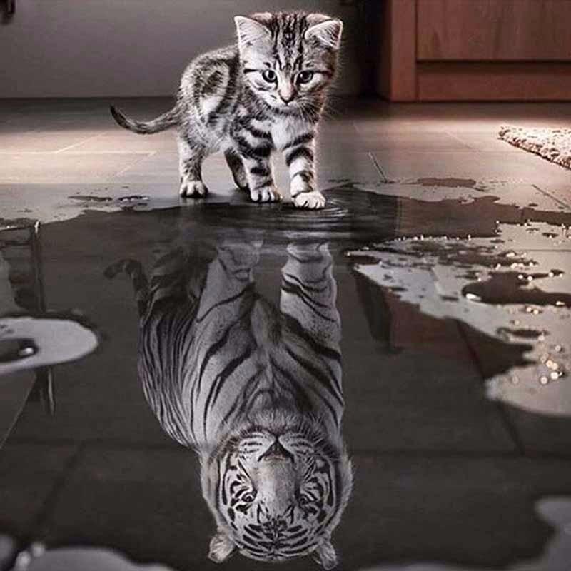Cat Reflection Diamo...